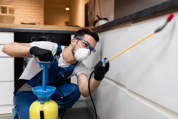 Best Pest Control Near Me in Solon, OH