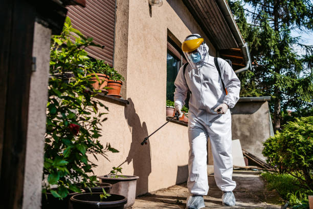Best Residential Pest Control  in Solon, OH