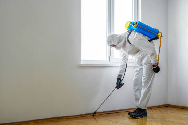 Best Emergency Pest Control  in Solon, OH