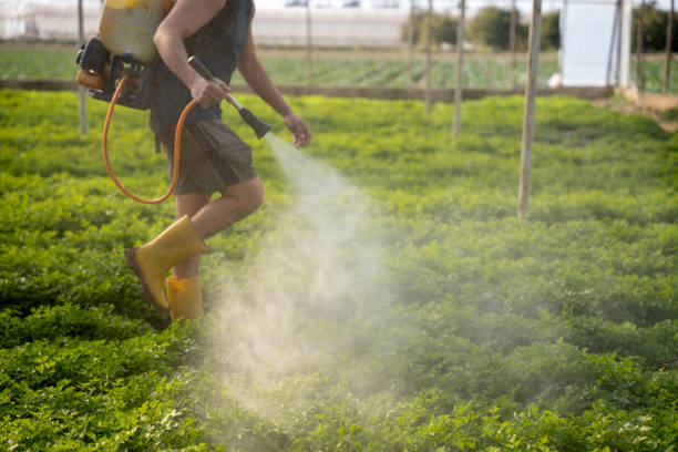 Reliable Solon, OH Pest Control Solutions