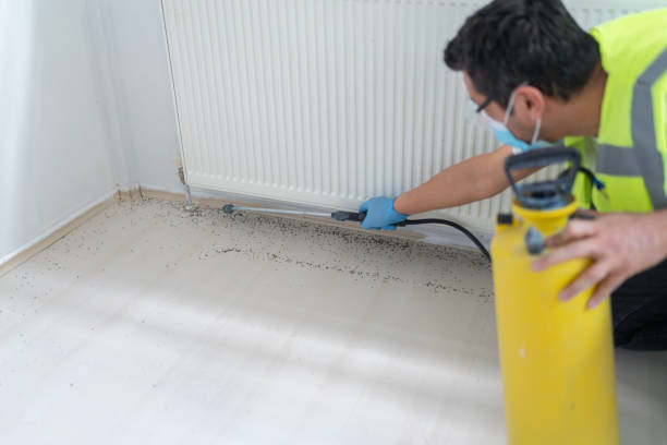 Trusted Solon, OH Pest Control Experts