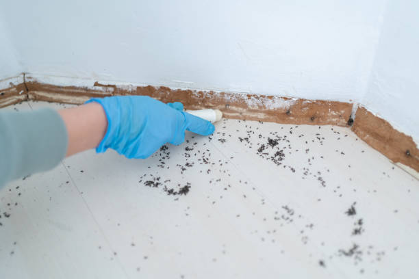 Pest Control Cost in Solon, OH