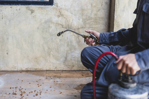 Pest Prevention Services in Solon, OH
