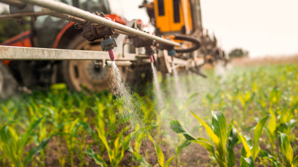 Best Pest Removal Services  in Solon, OH